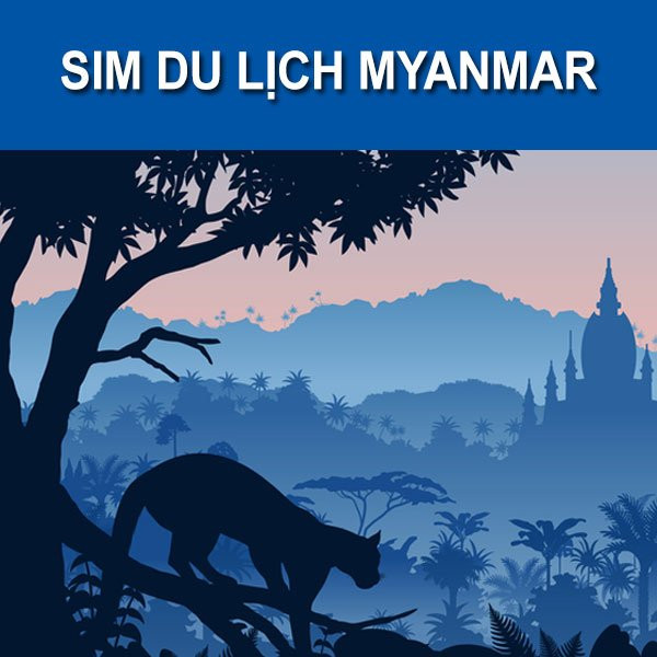 Vào mạng với sim 4G tốc độ cao tại Myanmar