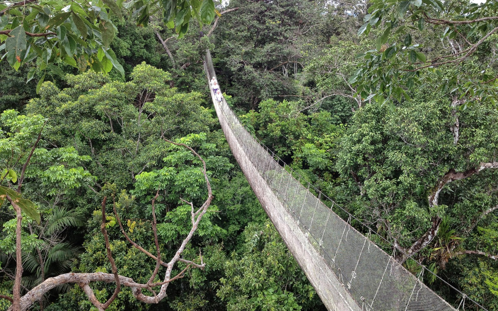 Đi bộ khám phá rừng rậm Amazon, Peru