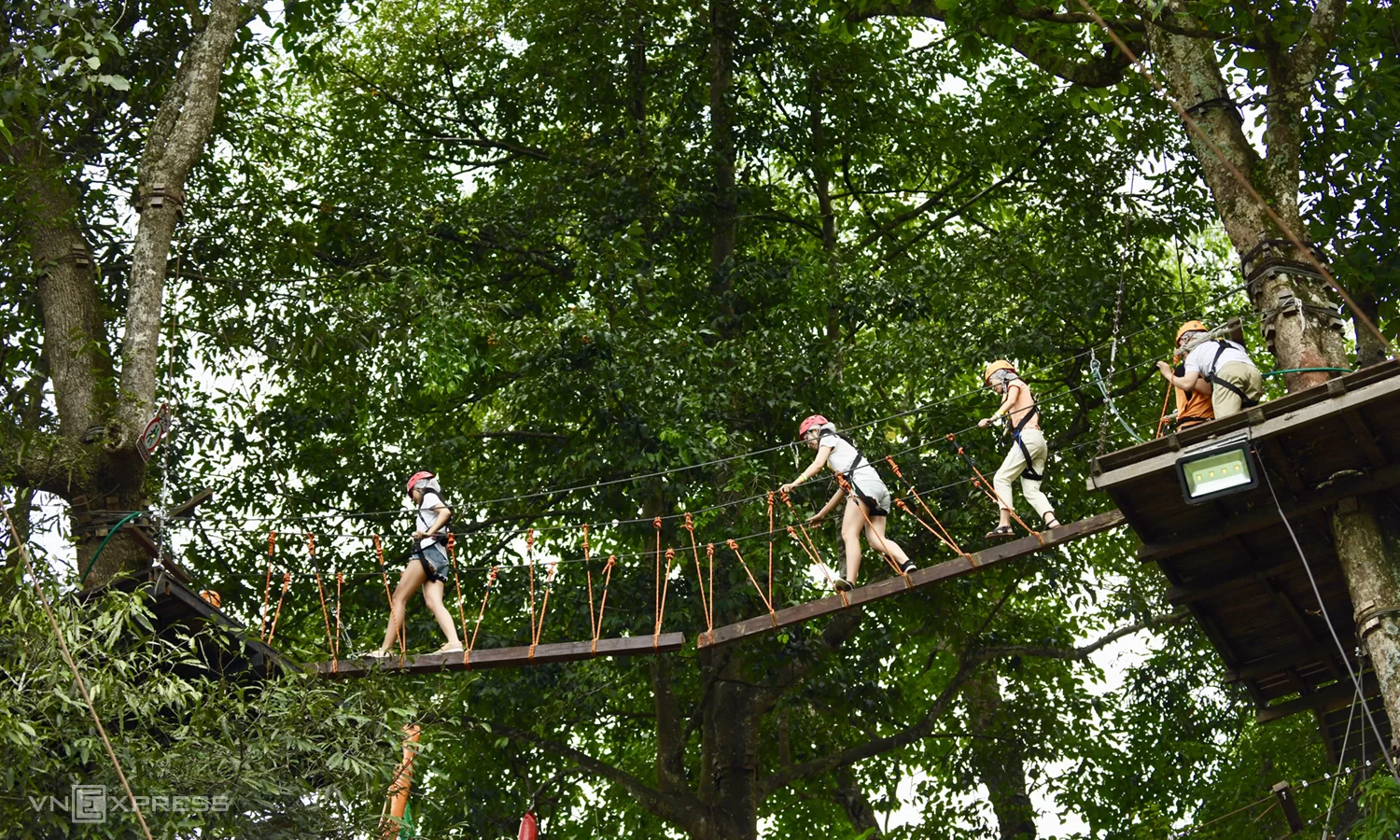 Khu vui chơi mạo hiểm Pongyang Jungle Coaster