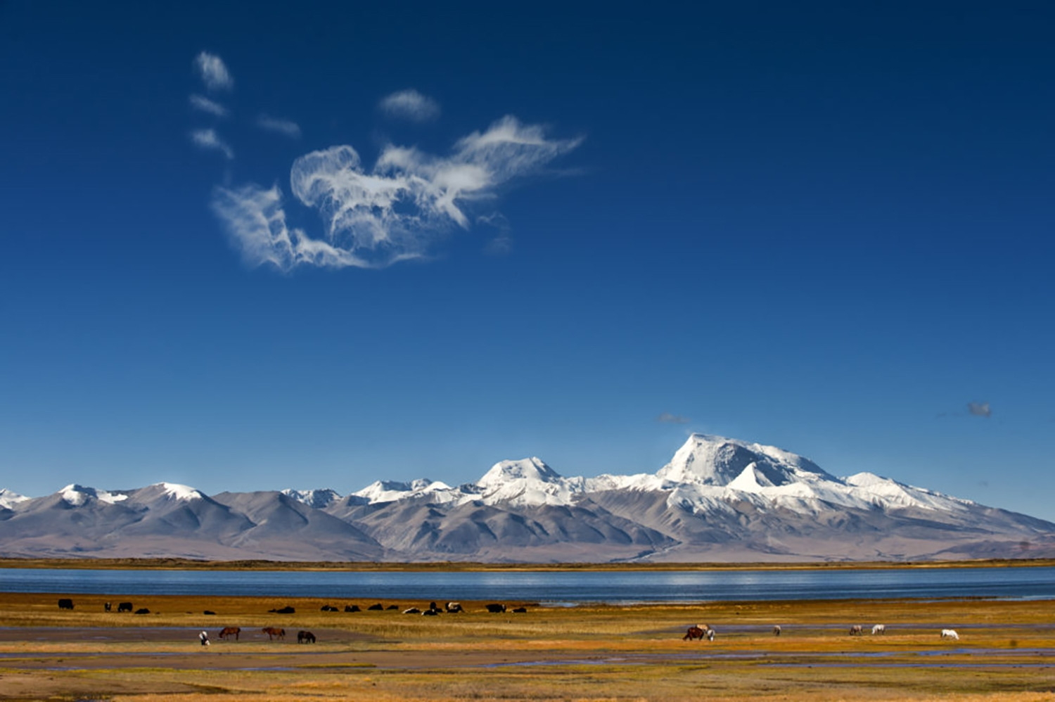 Tây Tạng phủ tuyết trắng trong mùa đông. Ảnh: The Land Of Snows.