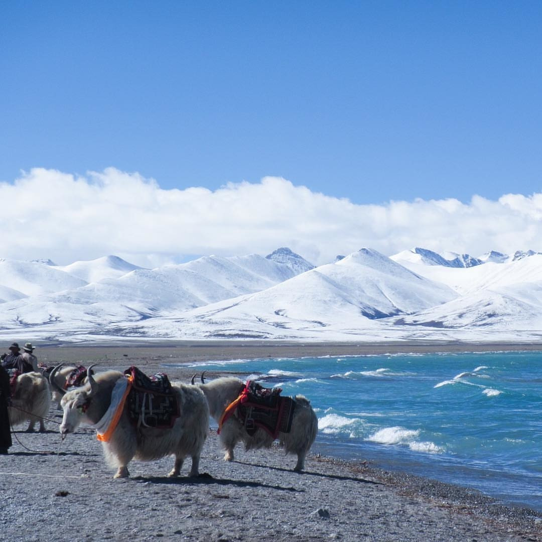 Tây Tạng phủ tuyết trắng trong mùa đông. Ảnh: Deskgram.