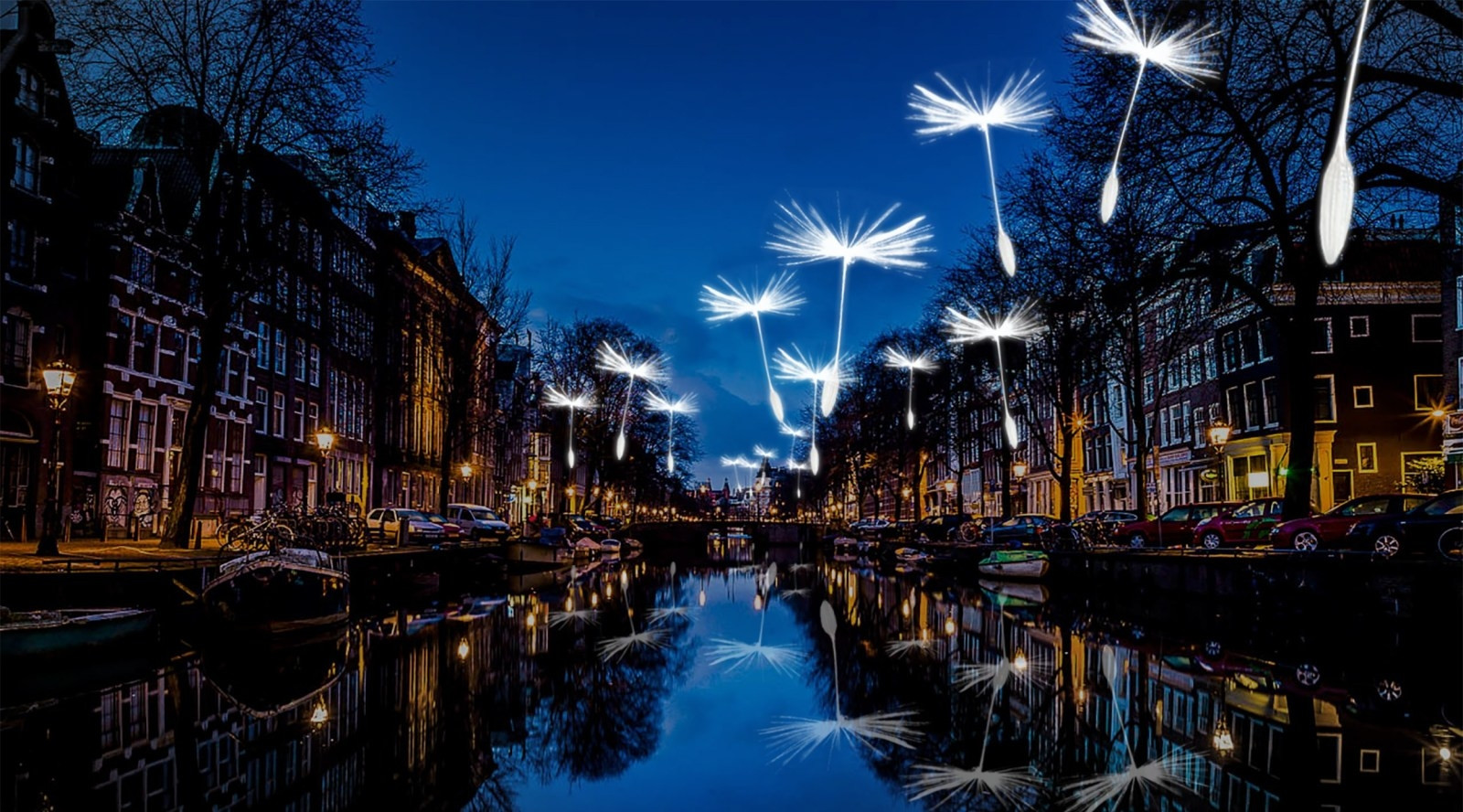 7 lễ hội mùa đông nổi tiếng thế giới.  Ảnh: Tulipfestivalamsterdam.