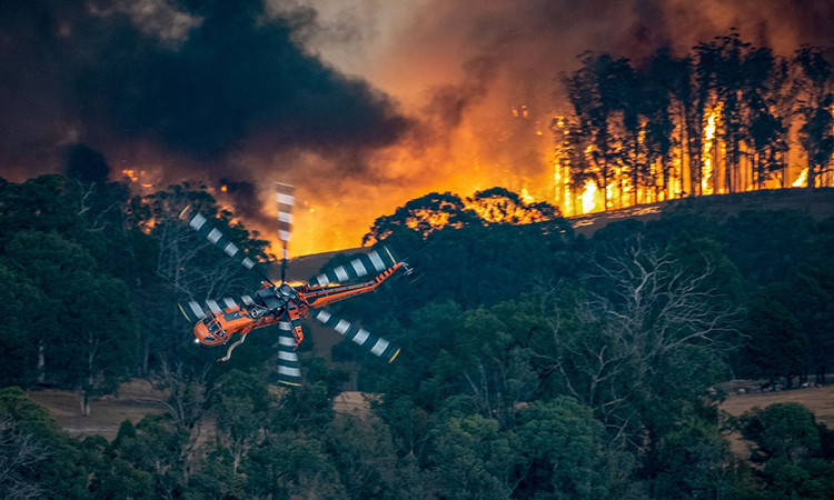 Các vụ cháy rừng đã tàn phá một số khu vực du lịch quan trọng ở bang New South Wales và Victoria. Ảnh: Sở Môi trường, Đất, Nước và Quy hoạch Australia.
