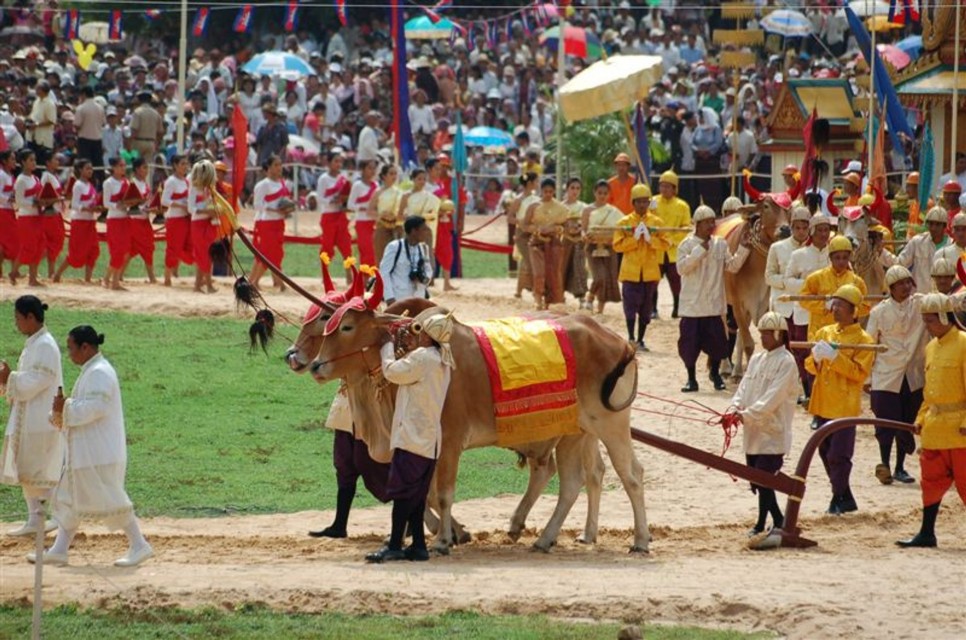 Quốc gia này có nhiều lễ hội lớn, hút khách trước đại dịch như lễ hội Phật giáo Meak Bochea, lễ hội năm mới Choul Chnam Thmey, lễ hội Cày bừa hoàng gia Pithi Chrat Preah Neanng Korl (ảnh), lễ hội cúng 7 đời tổ tiên Pchum Ben... Ảnh: Rove.
